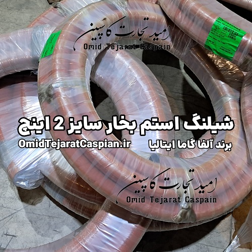 شیلنگ بخار آلفا گاما Alfagomma سایز 3/4 اینچ ساخت ایتالیا 5 شیلنگ بخار آلفا گاما Alfagomma سایز 2 اینچ ساخت ایتالیا